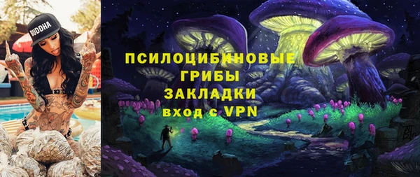 бутират Сатка