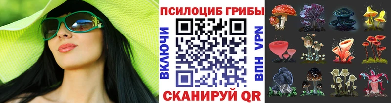 darknet состав  Новый Оскол  Псилоцибиновые грибы прущие грибы  где можно купить  